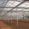 【高品质】蔬菜大棚建设【蔬菜温室大棚】连栋育苗温室
