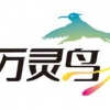体贴的花卉苗木 【厂家推荐】价格合理的花卉果蔬电子商务平台