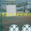 火热供销河北专业的体育场隔离网_安平厂家供应体育场围栏网