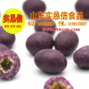 酒泉奶糖奶酒【内蒙古特产】供应商批发零售，春季大促