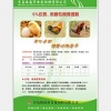 青岛可靠的蛋鸡育雏预混料提供商，泰安蛋鸡预混料