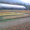 清远农场灌溉喷灌系统