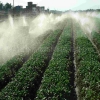 株洲农场灌溉自动控制系统