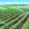 开平农场灌溉喷灌系统