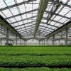 园艺温室建造，来亿成！