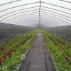 泰州农场灌溉自动控制系统