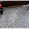 好的专业承接各类堵漏工程服务商|防水堵漏施工方案