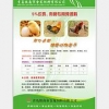 来金龙饲料，买高性价蛋鸡育雏预混料，蛋鸡预混料销售