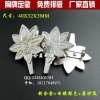纯银色胸针，上海企业公司集团LOGO胸徽，徽章，胸牌，胸章