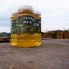 花溪贵州蜂蜜——价位合理的山花蜜贵阳供应