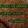 南京专业的蜈蚣养殖提供商_优惠的蜈蚣养殖