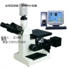 优惠的三金相显微镜：纵横仪器新品三目金相显微镜怎么样