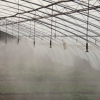 广东河源温室大棚人造雾浇灌节水