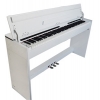 泉州哪里有供应价格实惠的电钢琴：莆田电钢琴生产