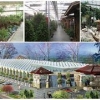 潍坊哪里有提供生态餐厅建造，设计新颖的生态餐厅