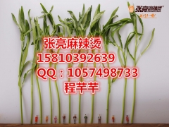 开一家张亮麻辣烫加盟费多少钱图3