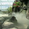 杭州室内植物园人造雾造景