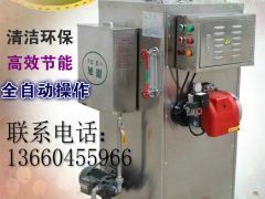 旭恩蒸汽锅炉40kg燃气锅炉立式快装服装整烫电镀化工食品行业图3