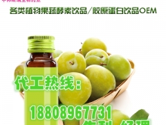 椰汁饮品代加工,50ml椰汁饮品oem图2