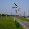 松滋5米6米7米太阳能路灯厂家