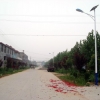 柳州新农村改建太阳能路灯