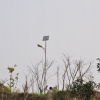 从化新农村改建太阳能路灯