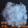 乌贼膏 -厂家供应动物提取物价格功效、用途