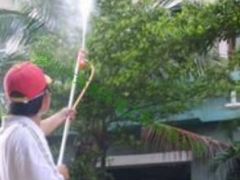 东莞四害消杀服务_白蚁防治技术_四害消杀技术_环亮清洁公司图3