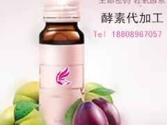 蓝莓酵素饮料代加工、上海oem酵素生存、微商生产基地图1