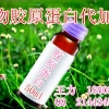 植物胶原蛋白OEM合作工厂、30ml 果味胶原蛋白代加工