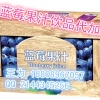 上海专业代加工蓝莓酵素oem 、微商酵素odm生产基地