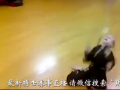 全球卫视：奇才！10岁武术女童炫技 震撼全场！ (5008播放)