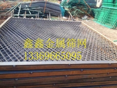 新疆温宿养殖场护栏网图1