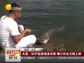全球卫视：大连！60斤鲇鱼现身水库 俩小伙合力拽上岸 (16223播放)