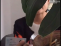 全球卫视：儿媳实名举报局长公公贪污 称老公出轨遭生命威胁 (5389播放)