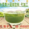10g袋装大麦若叶青汁粉固体饮料OEM代加工、代餐粉OEM
