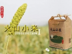 遥远村庄—蓝溪谷图3