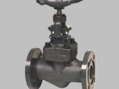 厂价直销 高温闸阀 高温锻钢闸阀图2