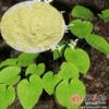 ​淫羊藿提取物现货供应