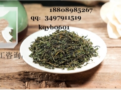 辣木叶固体饮料代工辣木叶加工OEM基地一站式服务图3