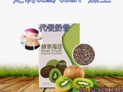 微商/直营店水果代餐奶昔加工、海参牡蛎片贴牌OEM生产厂家图2