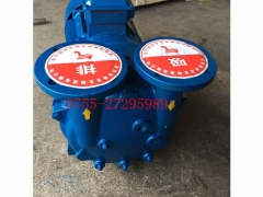 11KW真空泵|2BV5131真空泵|11KW水环真空泵图2