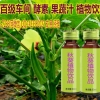 秋葵植物饮料加工，上海植物饮料生产厂家