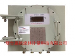 智能流量定量控制仪  流量显示控制仪图2