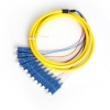 12芯束状尾纤SC方头单模光纤跳线电信级可订做ST头尾纤