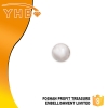 YHB正品 珍珠烫片 银色