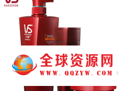 供应沙宣洗发水厂家直销图3