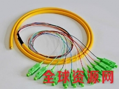 12芯束状尾纤SC APC 电信级别单模 1.5米可定做接头图1