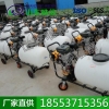 推车式打药机  推车式打药机型号  农业设备