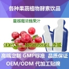 专营蔓越莓浓缩果汁袋装饮料OEM/ODM加工厂